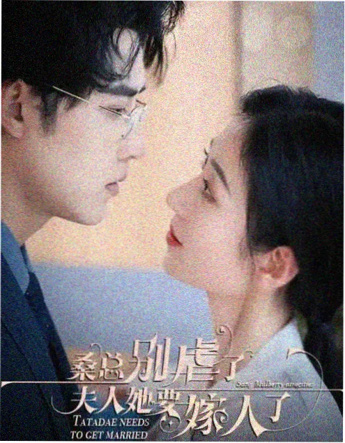 国产家庭剧《巷口的四季》海报